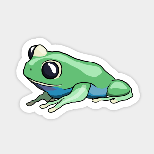 Blue Bellied Tree Frog Sticker